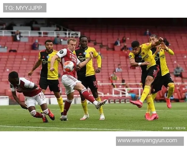 中央海岸与惠灵顿对决结果揭晓赛季精彩瞬间回顾