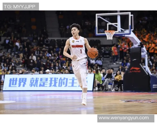 合肥明星篮球队实力分析与发展前景探讨 合肥明星篮球队实力分析与发展前景探讨